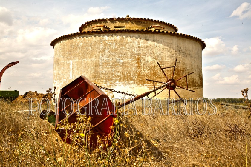 fotopalomar Tierra de Campos
