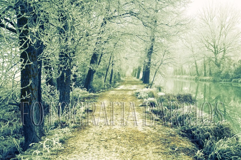 invierno Medina de Rioseco