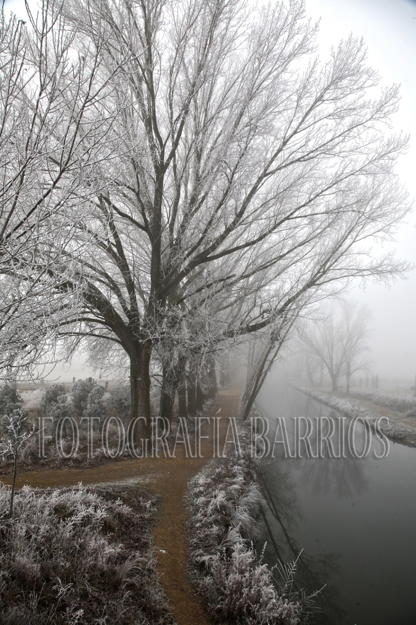 Canal de Castilla Fotobarrios