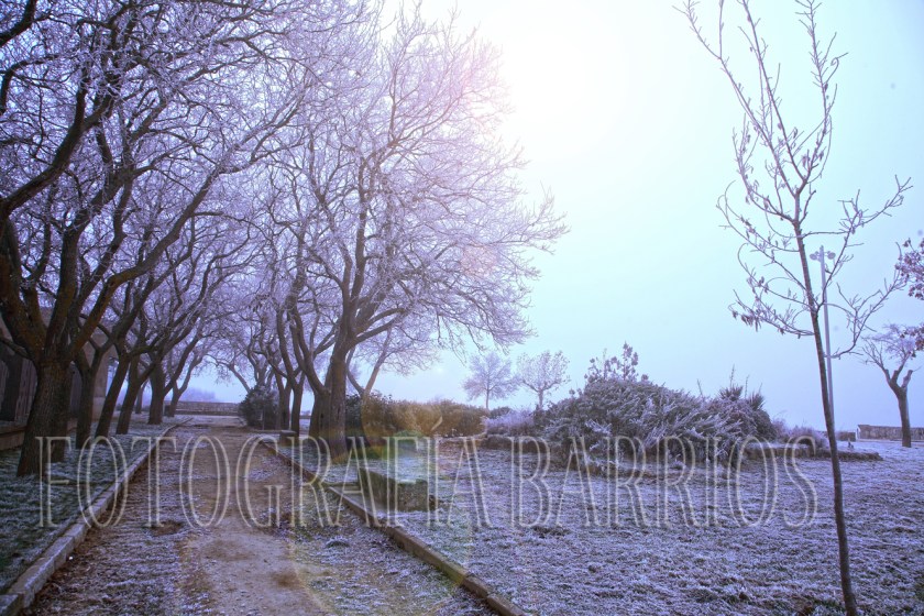 inviernoenfotografías