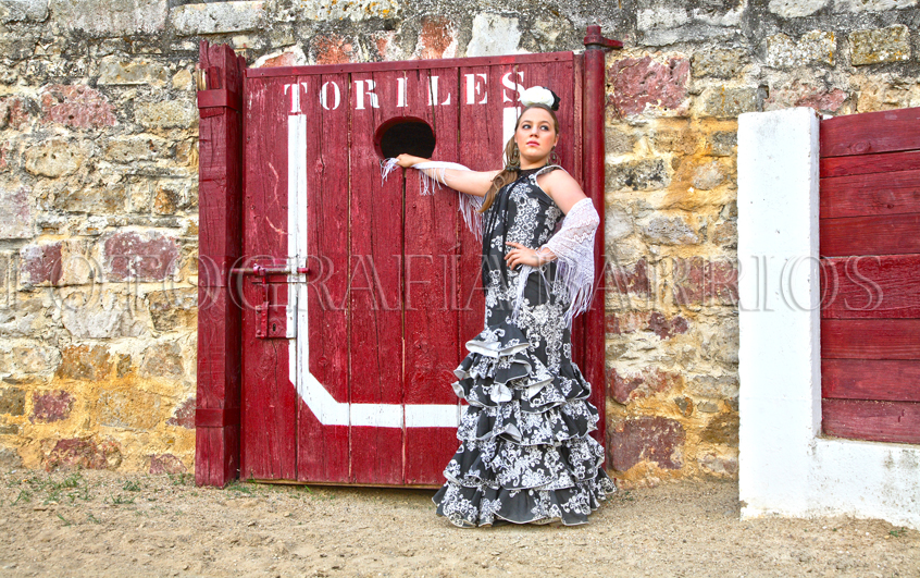 plazatoros_Rioseco_fotochica